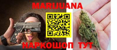 spice Новодвинск