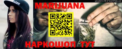 spice Новодвинск