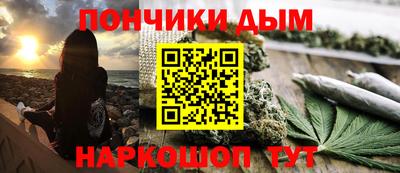 spice Новодвинск