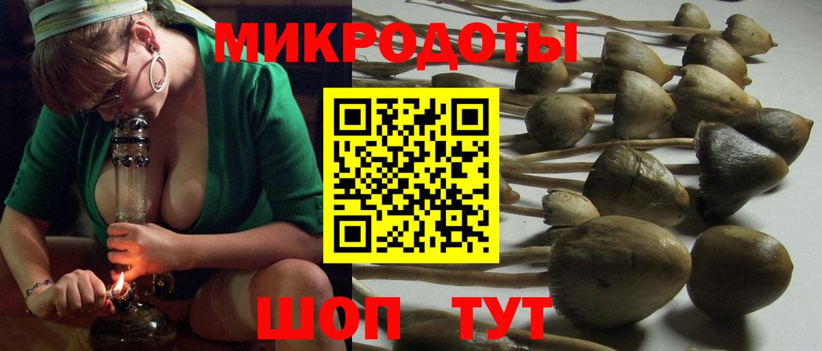 Галлюциногенные грибы мицелий  Псилоцибиновые грибы Psilocybine cubensis  Вход с VPN  цена наркотик  Киреевск 